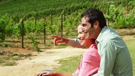 pareja feliz interactuando mientras están sentados en el campo
