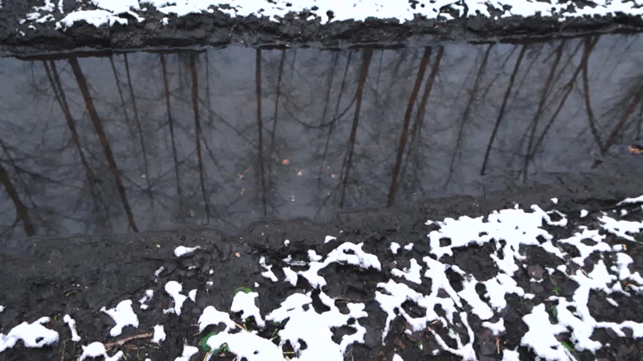 Top down view of a muddy brown and dark colored forest road that has metled winter snow in it where trees are reflected. White snow on the sides of the tire tracks in nature forest area, no people