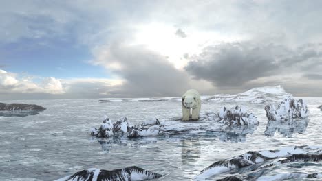 polar bear on melting ice