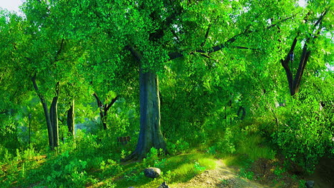 exploring a vibrant forest filled with lush greenery and sunlight