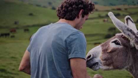 weathered farmer gently stroking friendly donkey's head while standing in lush green pasture, embodying peaceful rural lifestyle and animal companionship