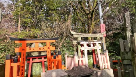 a peaceful walk through a traditional shinto shrine