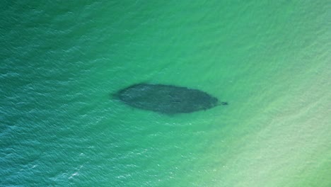 Aerial-topdown-view-of-old-shipwreck-in-Lake-Superior,-Pendills-Beach