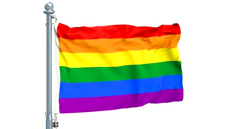 rainbow flag lgbt flag waving on white background, animation. 3d rendering