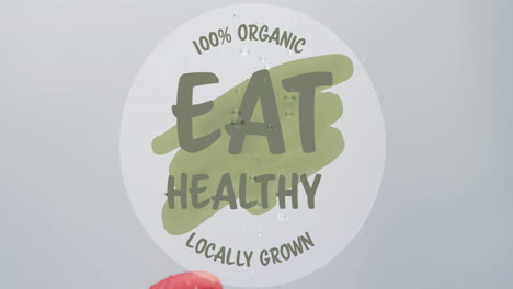 animation of eat healthy text on circle on grey background