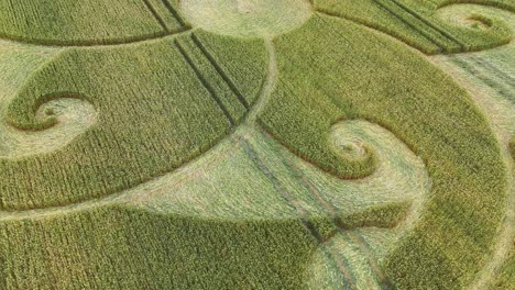 aerial view over wind patterns blowing across etchilhampton spiral mandala wheat filed crop circle