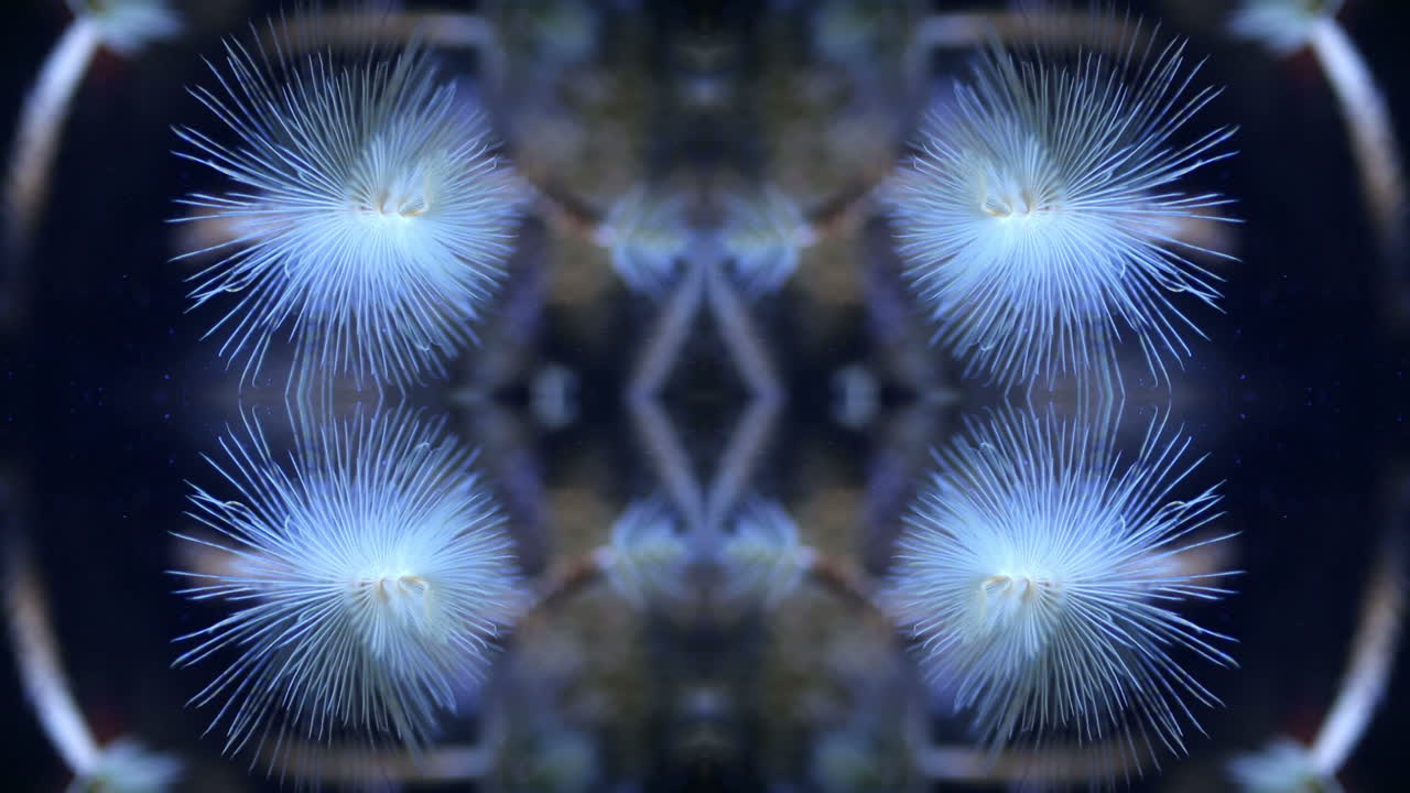 acuario de valencia 13