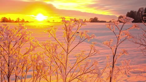 Time lapse of the sun rising over Latvia&#039;s snow covered backcountry