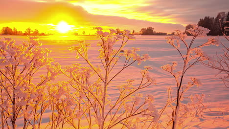 time lapse of the sun rising over latvia's snow covered backcountry