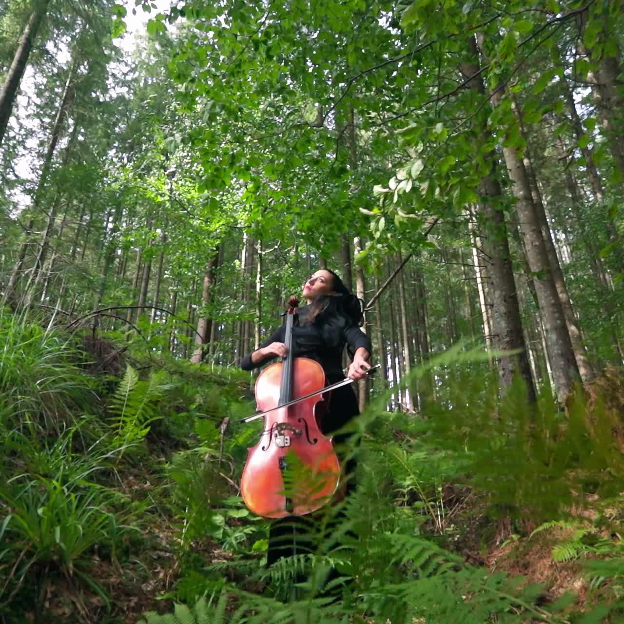 Woman with cello outdoor