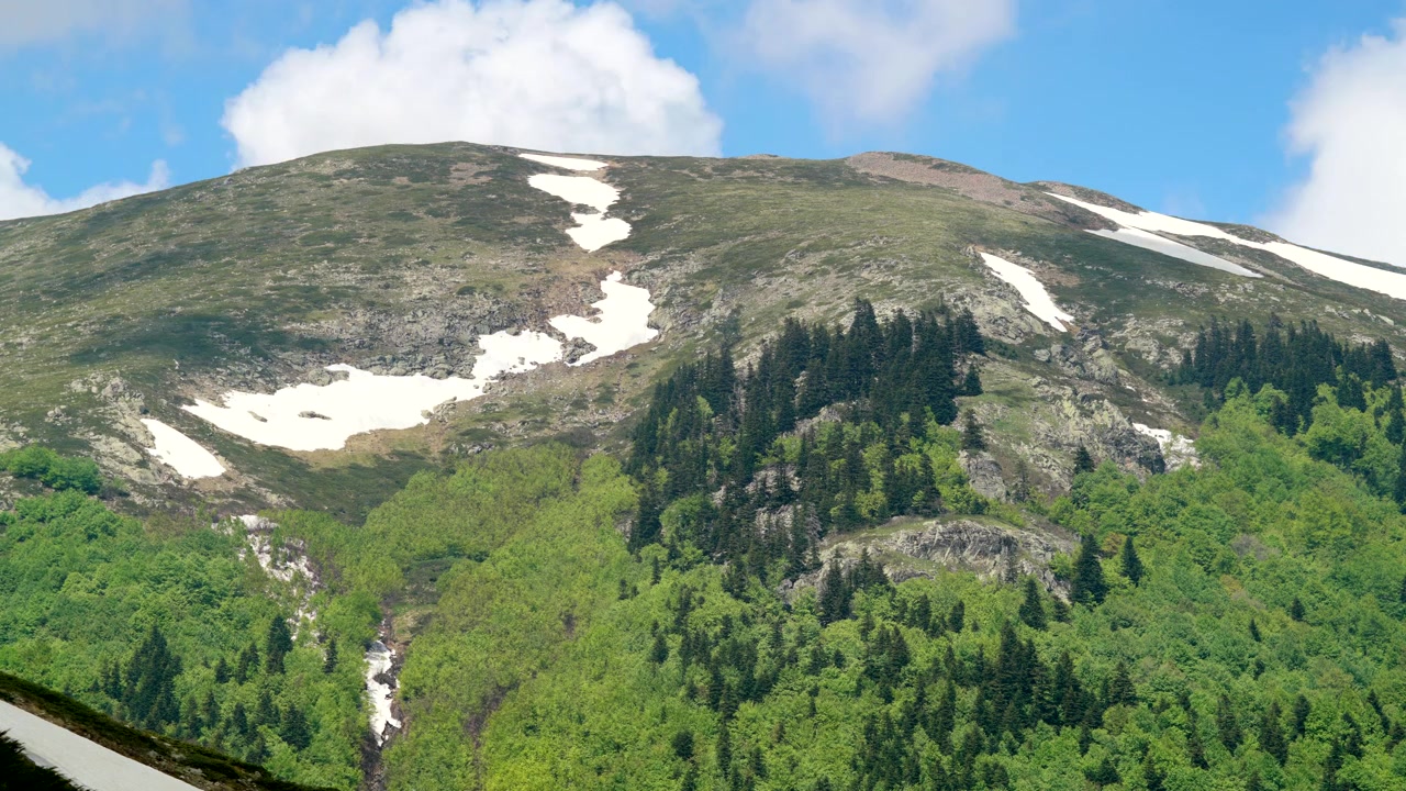 Maisemallinen vuorenhuippu, sulavaa lunta ja rehevää vihreää metsää