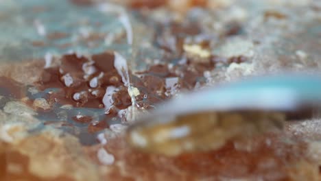 imágenes macro cercanas de panales de miel con miel
