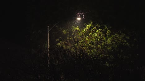 luz de la calle en el vecindario residencial en una noche lluviosa