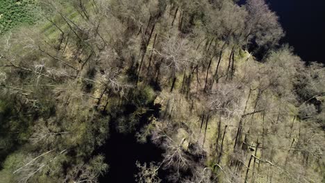 los pantanos del norte de alemania desde arriba