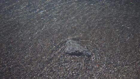 crystal clear sea water rippling over the small rock on the sand by the shore in toronto, canada - closeup shot