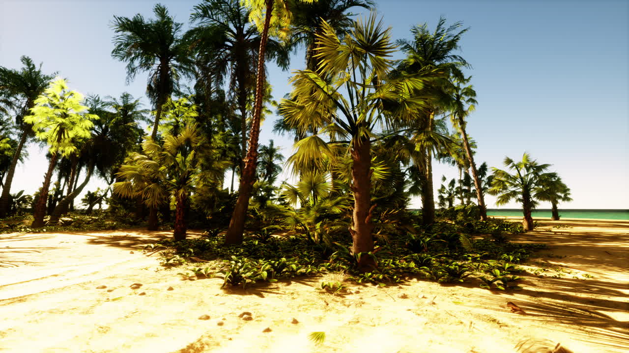Tropical Beach with Palm Trees