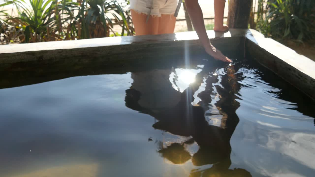 아쿠아리움에서 수영하는 거북이를 만지는 젊은 여성 관광객. 국가 공원의 연못에서 바다 거북이 를 보는 인식 할 수 없는 여성 배 여행자.