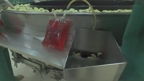 vaccination in a chick production line in a hatchery factory intended for large henhouses