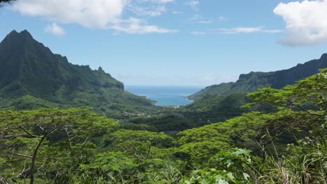 view of mountains, mount rotui, forest a lagoon and the ocean from a viewpoint in a tropical pacific island on a sunny day in three pines lookout, moorea, french polynesia.