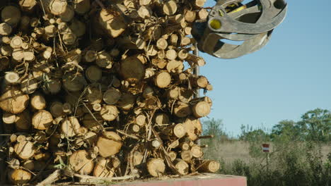 Crane arm pounds lumber into tightly packed stack on back of truck, 60fps