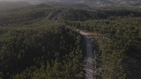 aerial drone shot of curving road cutting through dense forest hills in canada during golden hour, revealing peaceful landscape, natural terrain, and contrast between wilderness and development