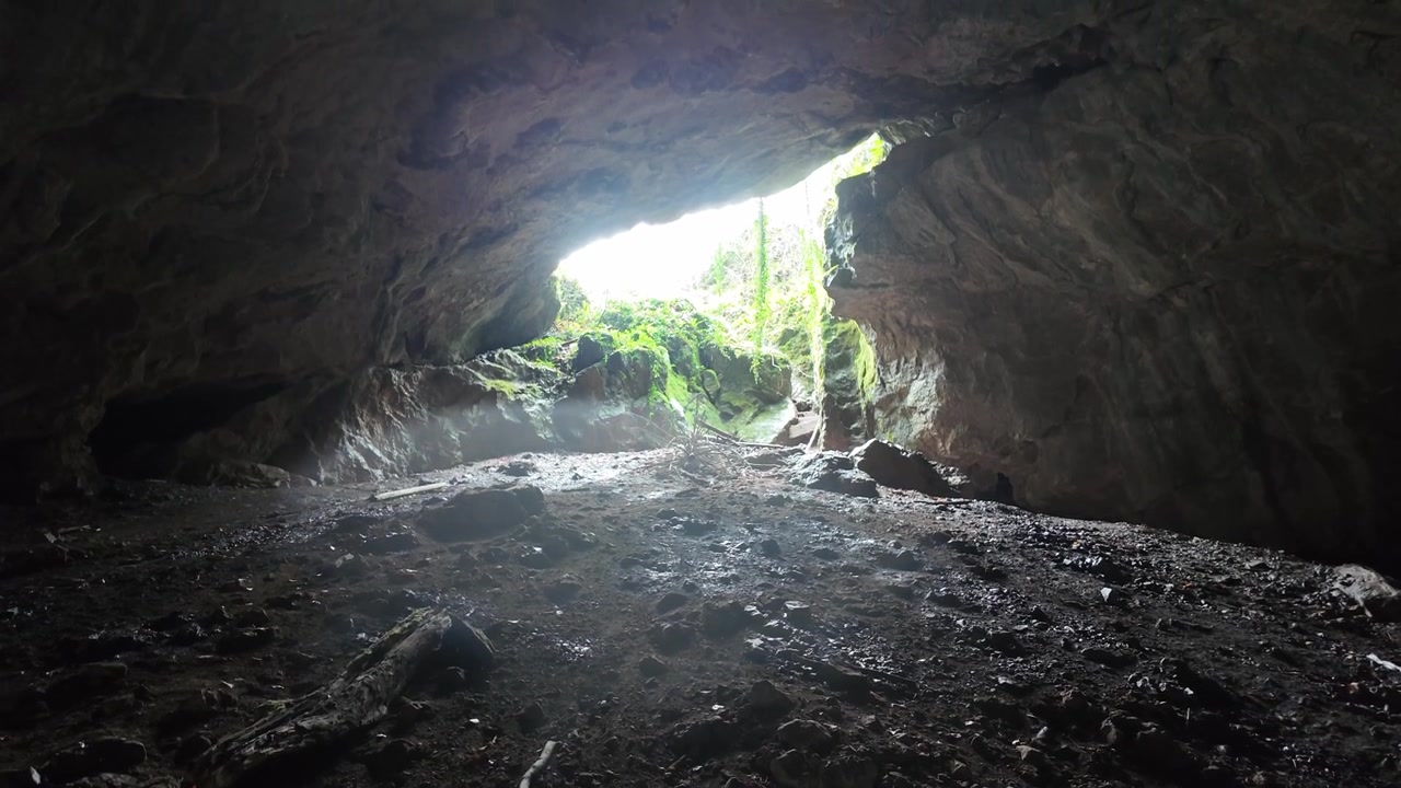 Bright sunlight from the outside world illuminates the entrance to the dark and mysterious Weaver Cave, located in the Rakov Skocjan valley