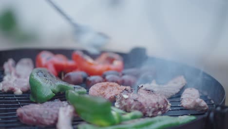 grilled meats and vegetables on a barbecue