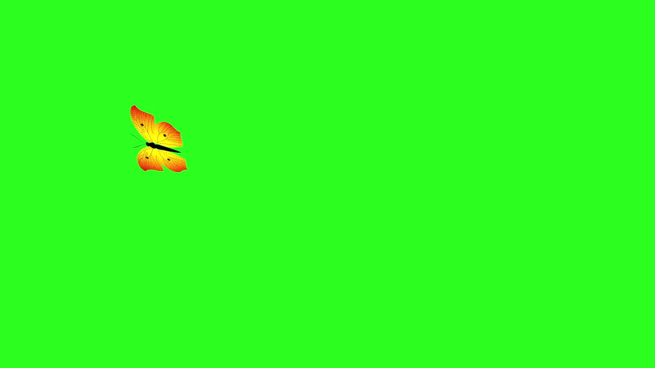 mariposa de belleza colorida animada en la pantalla verde tecla de croma