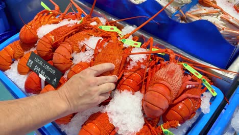 hand choosing lobsters from ice display