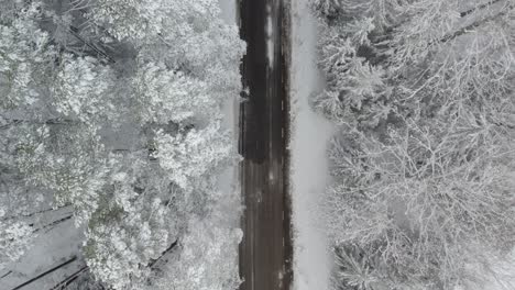 Drohnenflug-Entlang-Der-Asphaltstraße-Im-Magischen-Verschneiten-Wald