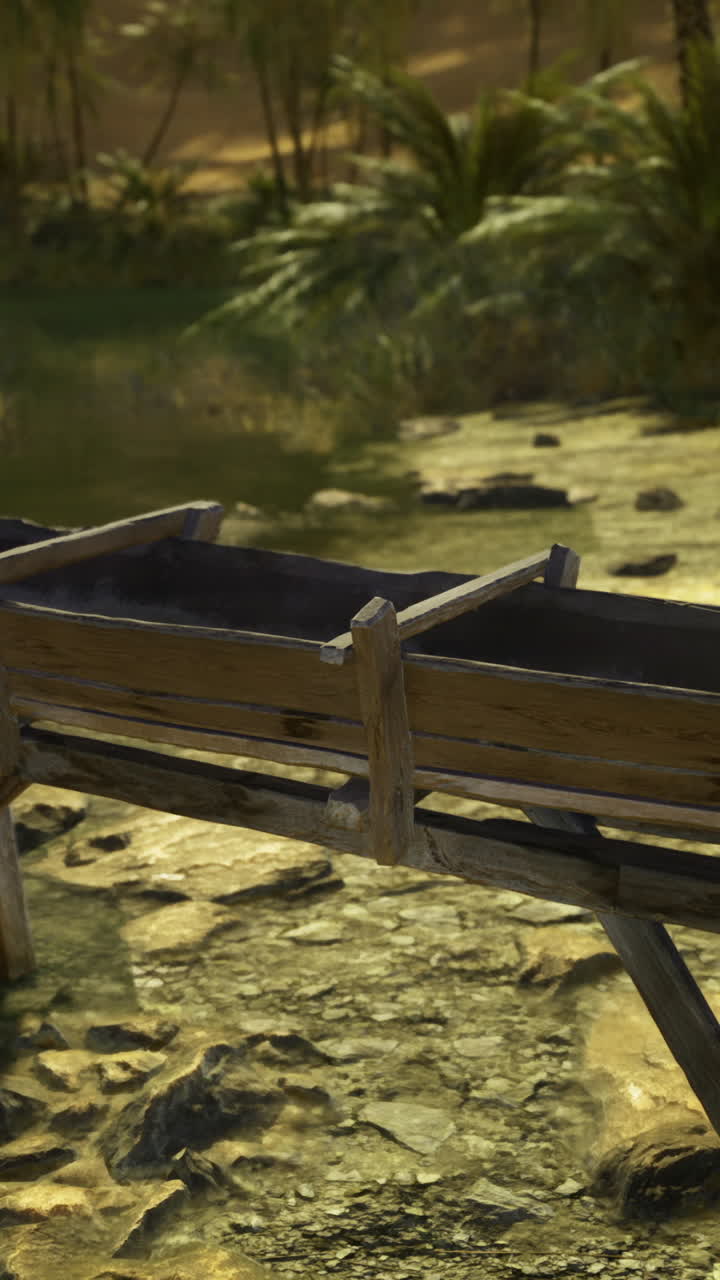 Wooden canoe stand near a serene riverbank in a tropical environment