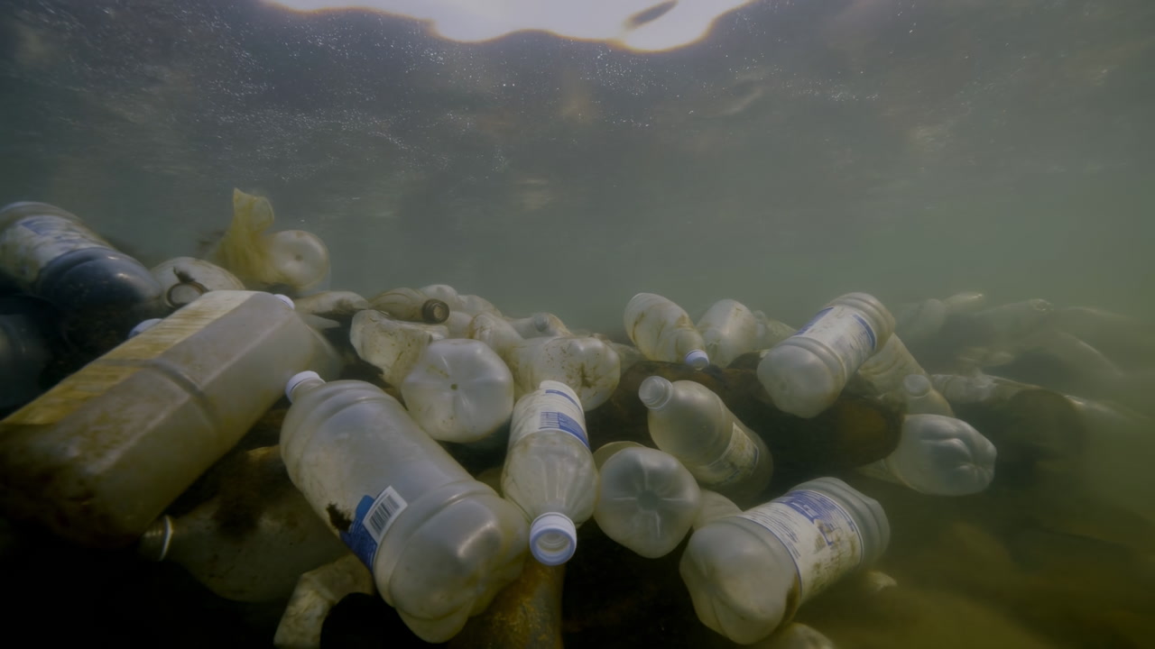 Underwater Plastic Bottles Piled On Seabed, Murky Green Water, Sunlight Filtering Through Surface, Algae