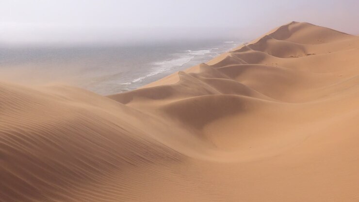 High winds blow across the amazing sand dunes of the Namib Desert along the Skeleton Coast of Namibia 1