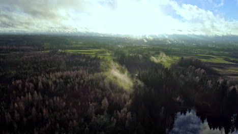 mysterious aerial flight over green woodland with fog