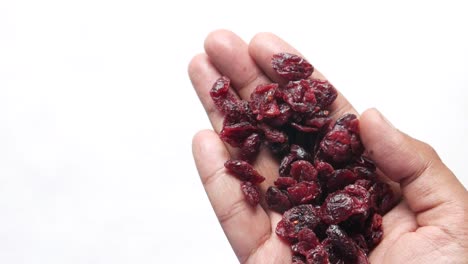 dried cranberries in hand