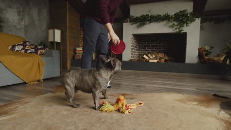 man standing while playing with her dog in the living room at home 2