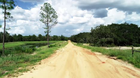 A-country-dirt-road-in-Central-Florida-flanked-by-a-pine-forest-and-pond