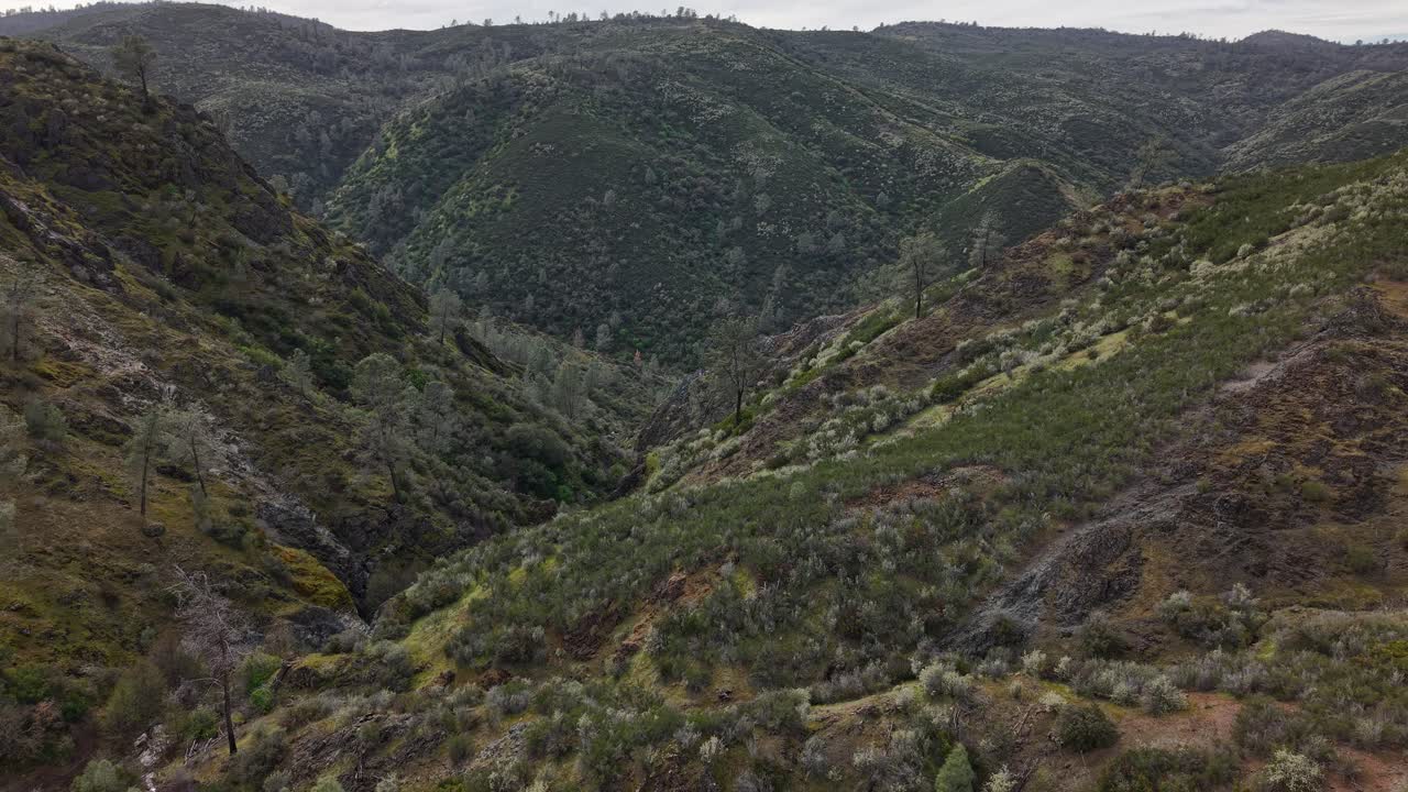 From above, the Golden Chain Highway is seen weaving through the rolling hills of Moccasin and Coulterville.