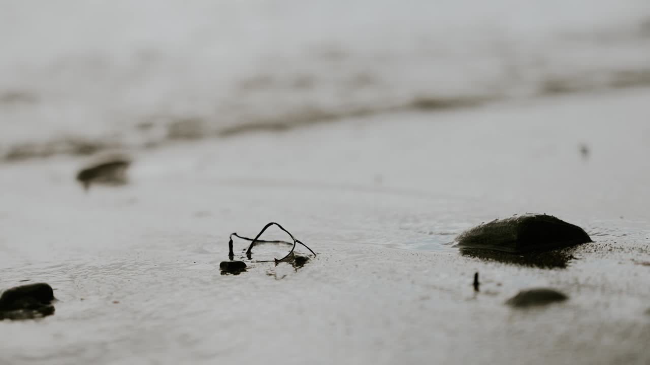cerca de la luz de las olas del mar en la playa
