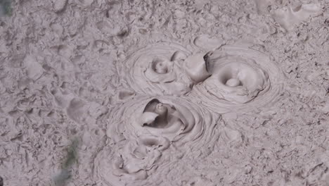 close up shot of bubbling mud pool during sunny day at waiotapu thermal wonderland - bubble splashing bu