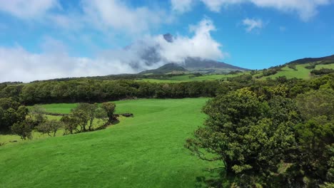 green and volcanic landscape of pico island in the azores