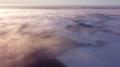 fliegen über nebelnebelwolken und frostbedeckte saisonale wälder im sonnenaufgangslicht