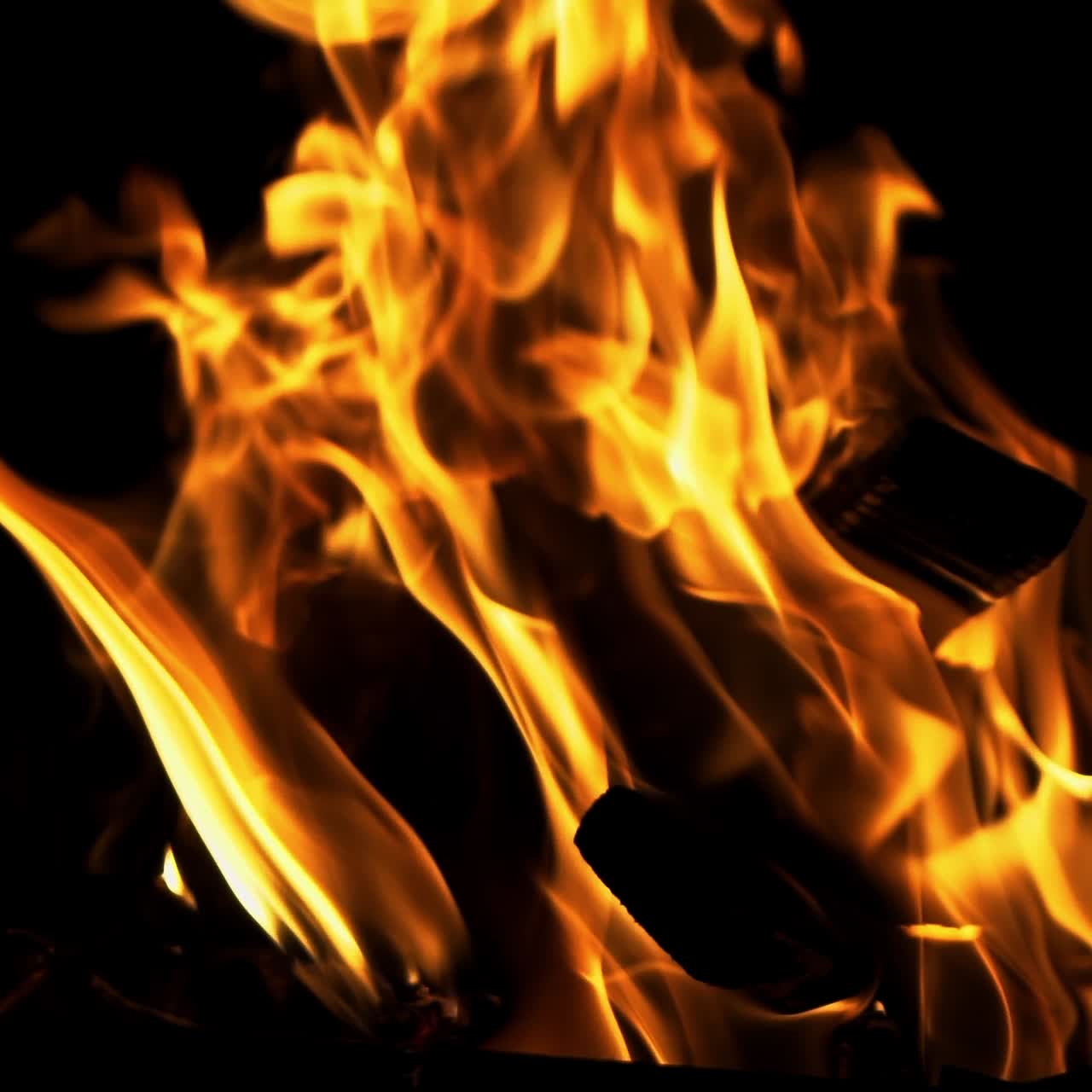 Bonfire. The fire is lit in the night. Slow motion