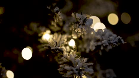 christmas snowed artificial tree branches with lights, close up moving shot