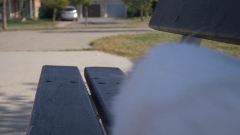 alerted white cat sneaking around on bench outdoor