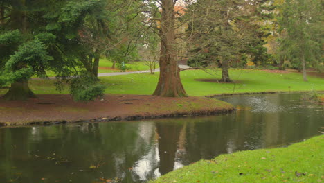 The-water-flows-between-the-trees-of-the-botanical-gardens-park-in-Dublin