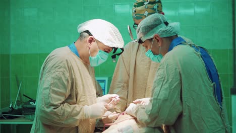 Surgeon takes sterile instrument and does the operation with the help of two specialists. Team of professional surgeons performing surgery on a patient in the hospital operating room. Doctors use medical equipment indoors.