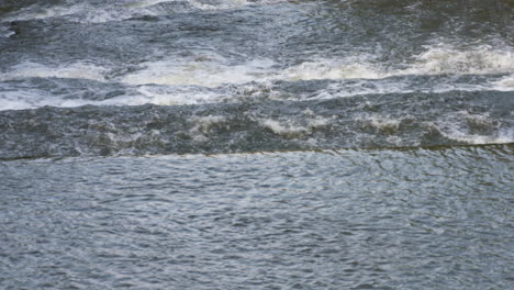 Schwenken-Sie-über-Den-Malerischen-Grand-River-Durch-Die-Elora-Schlucht-In-Ontario,-Kanada