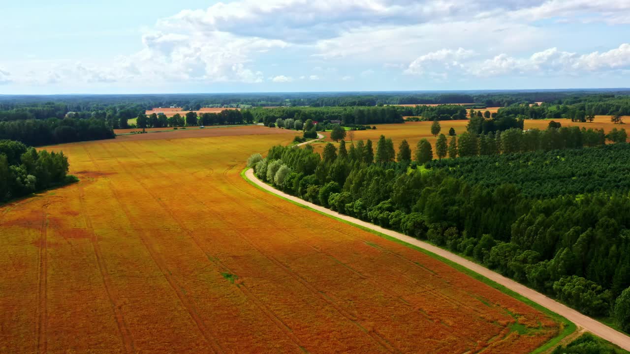 Vast fields with tree lines and a curving road define the expansive land from above