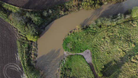 Aus-Der-Luft-Blickt-Man-Auf-Einen-Kleinen-Schlammigen-Fluss,-Der-An-Getreidefeldern-Vorbeifließt